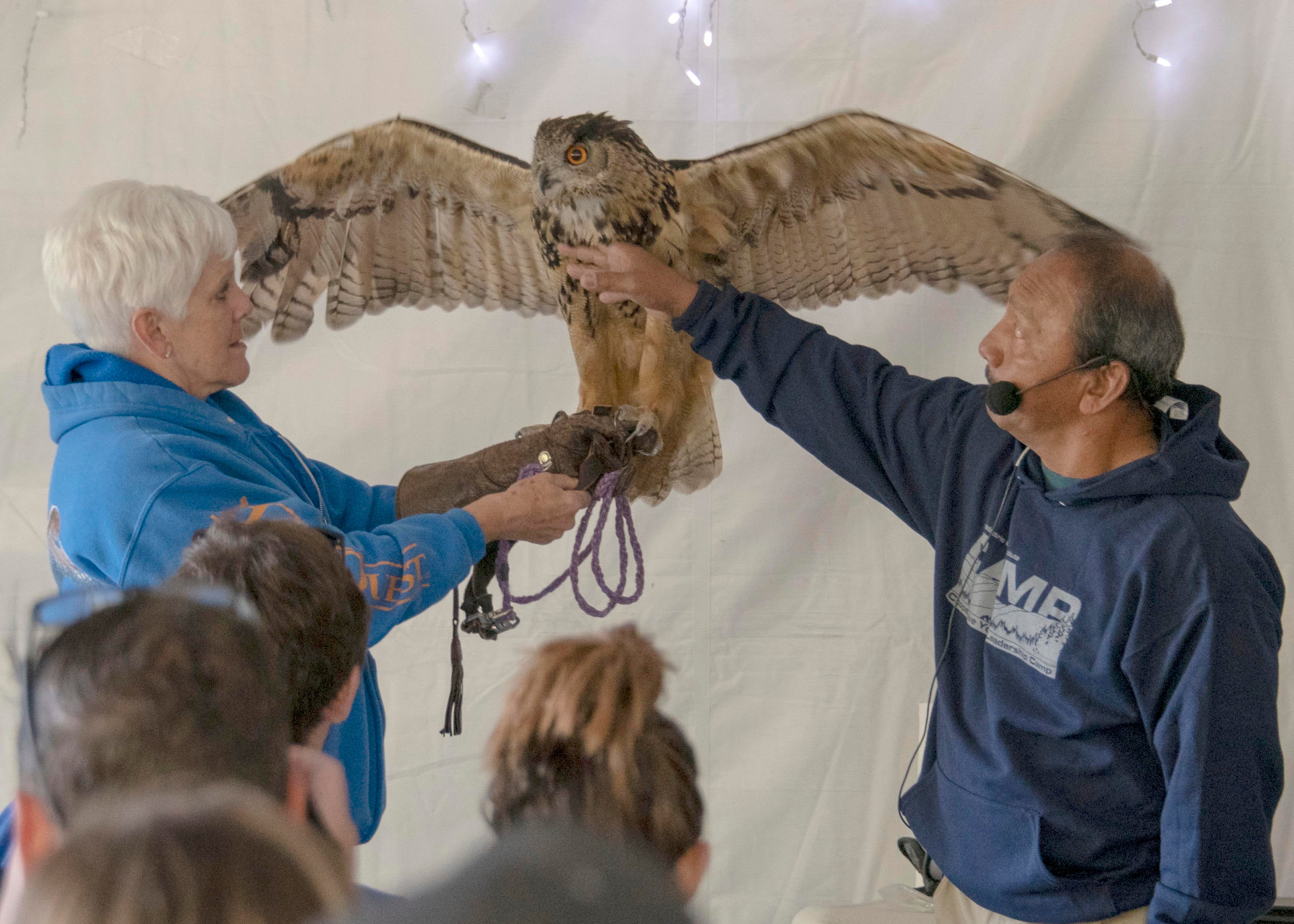 While attending camp, students learn about local wildlife like the owl shown in the image.
