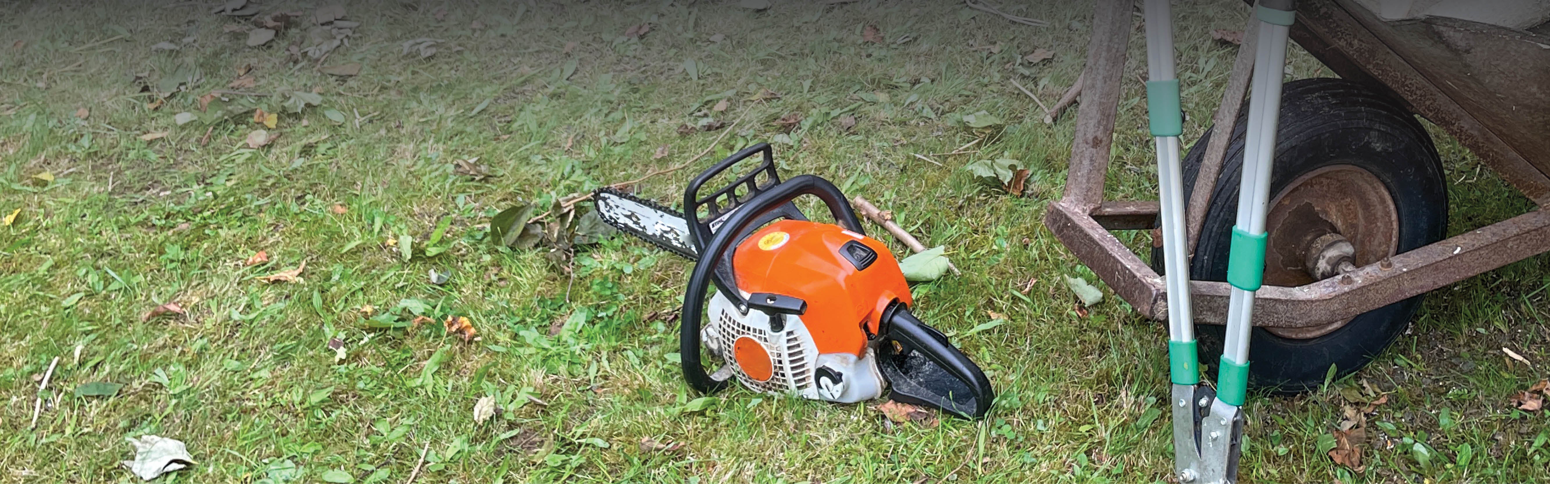 A chainsaw sits in the grass ready to be used to cut wood.