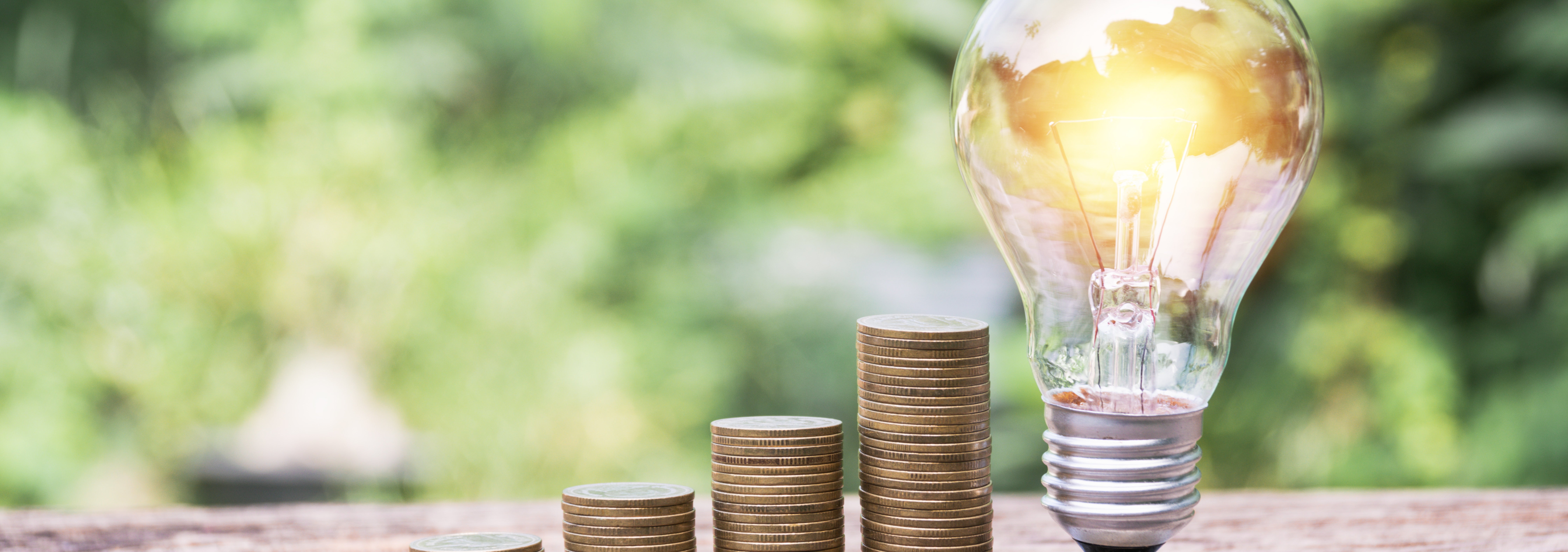 Summer Energy Savings
