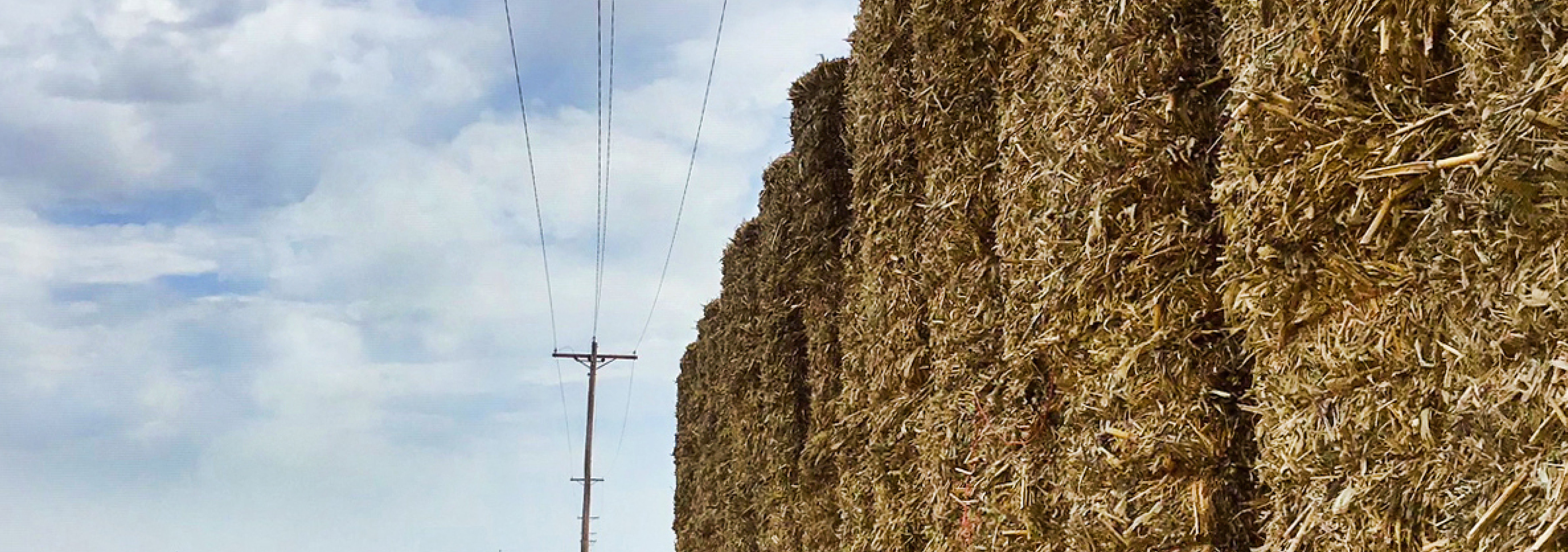 Deadliest Safety Catch - Hay stacked under a power line