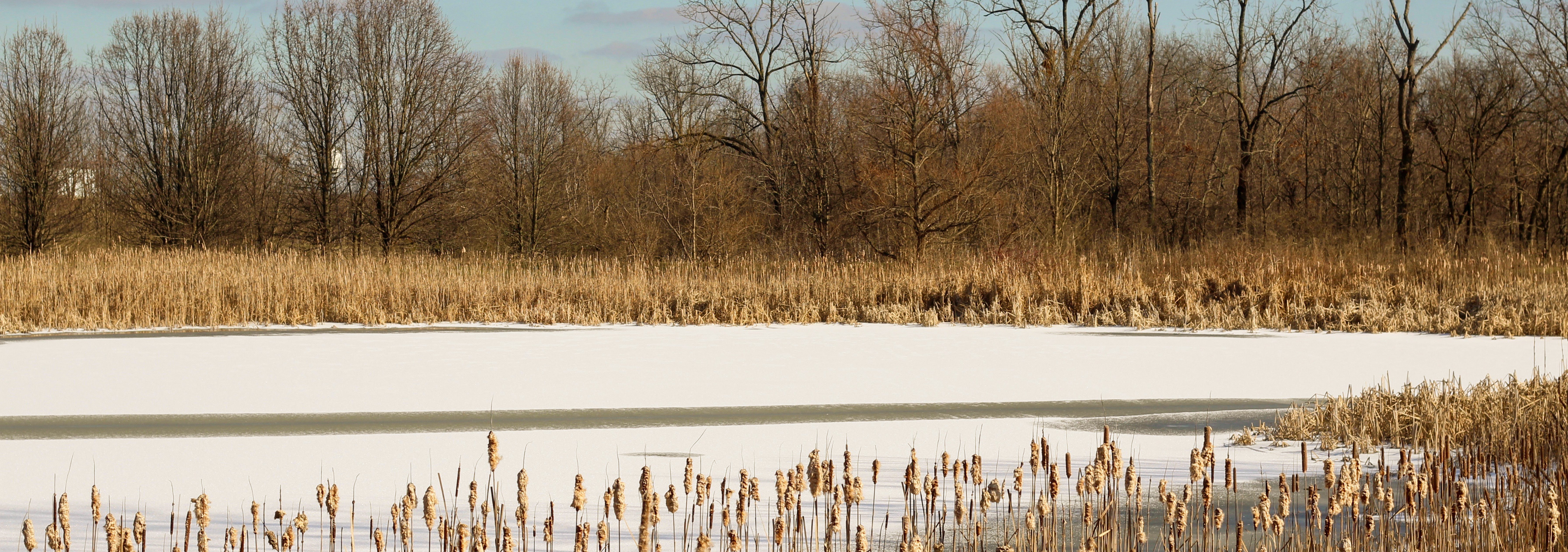 Ice covered pond