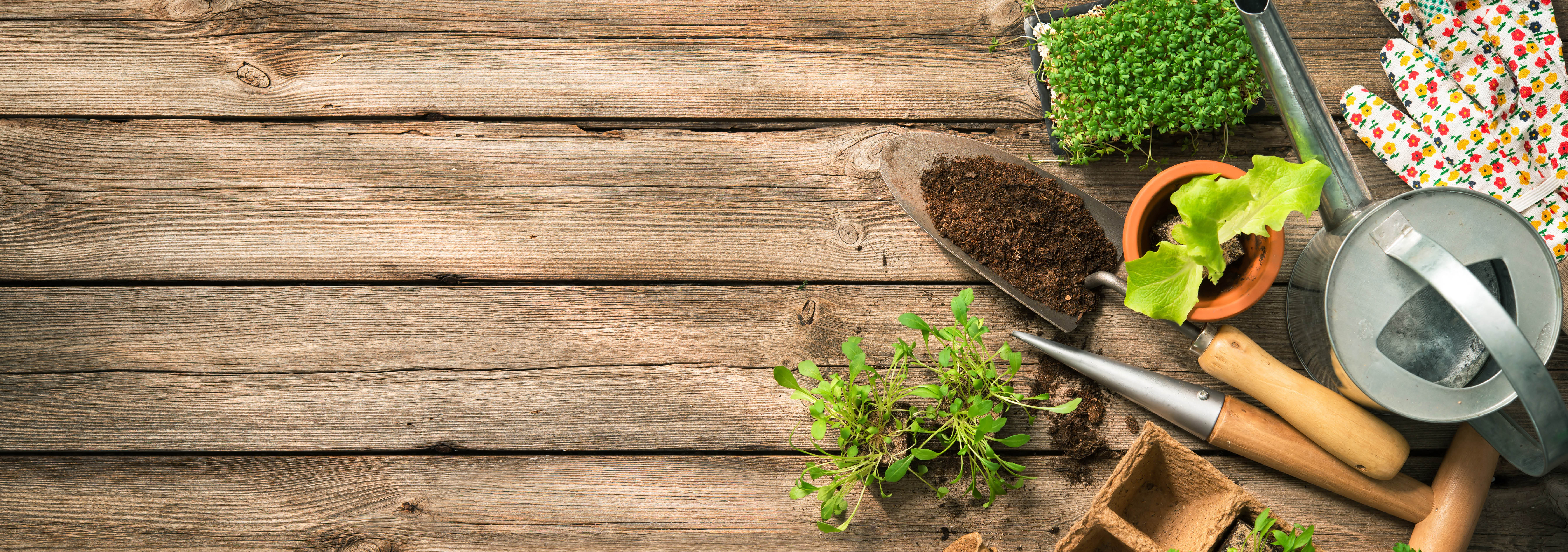 Learn more how to garden ergonomically